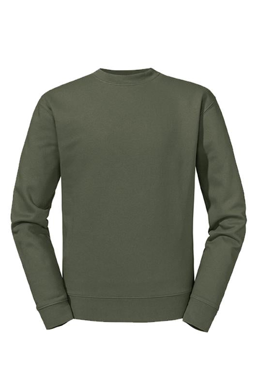 AUTHENTIC COLLEGE | Olive