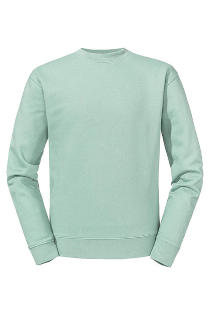 AUTHENTIC COLLEGE | Eucalyptus green