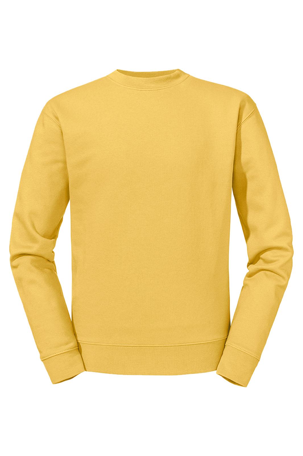 AUTHENTIC COLLEGE | Mustard yellow